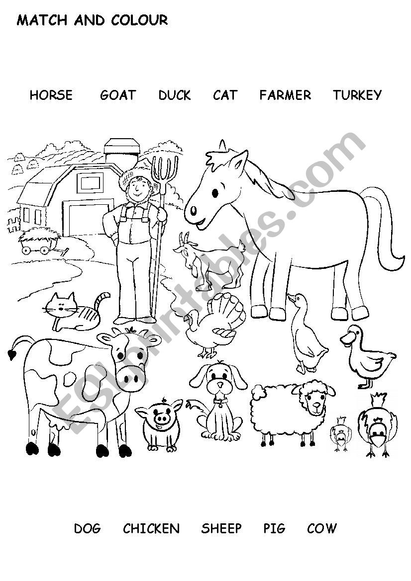 Farm animals worksheet