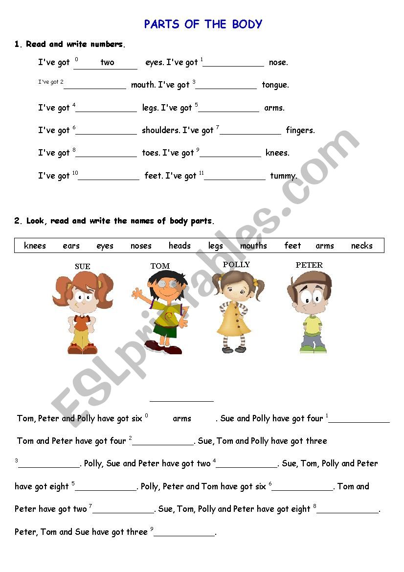 Body parts worksheet