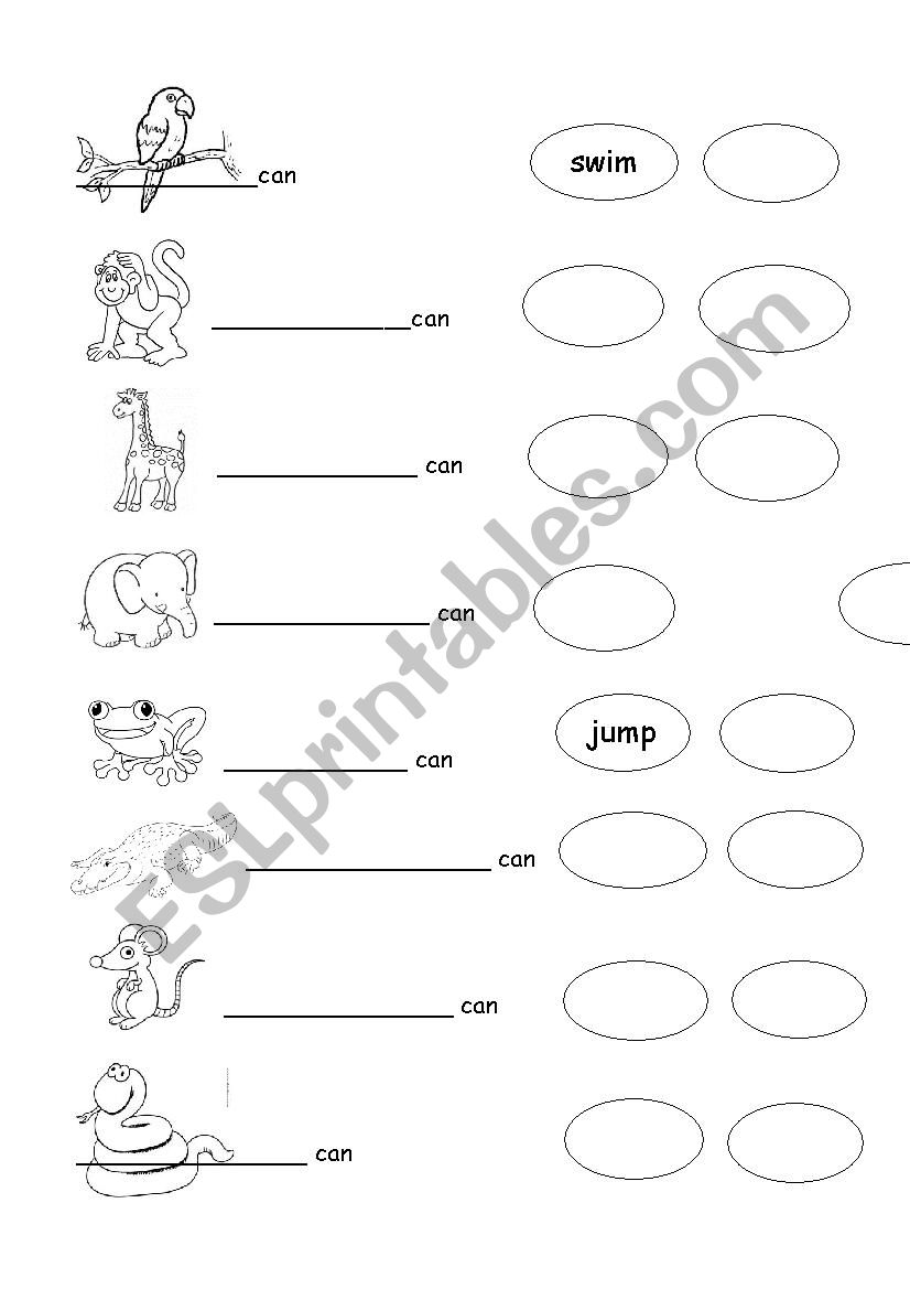 Wild animals and verbs worksheet