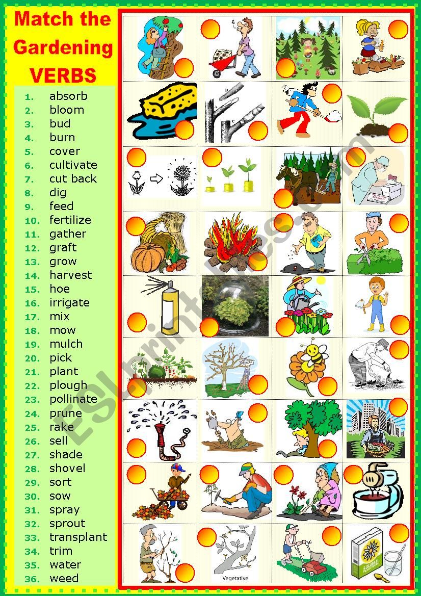 Matching GARDENING VERBS. worksheet