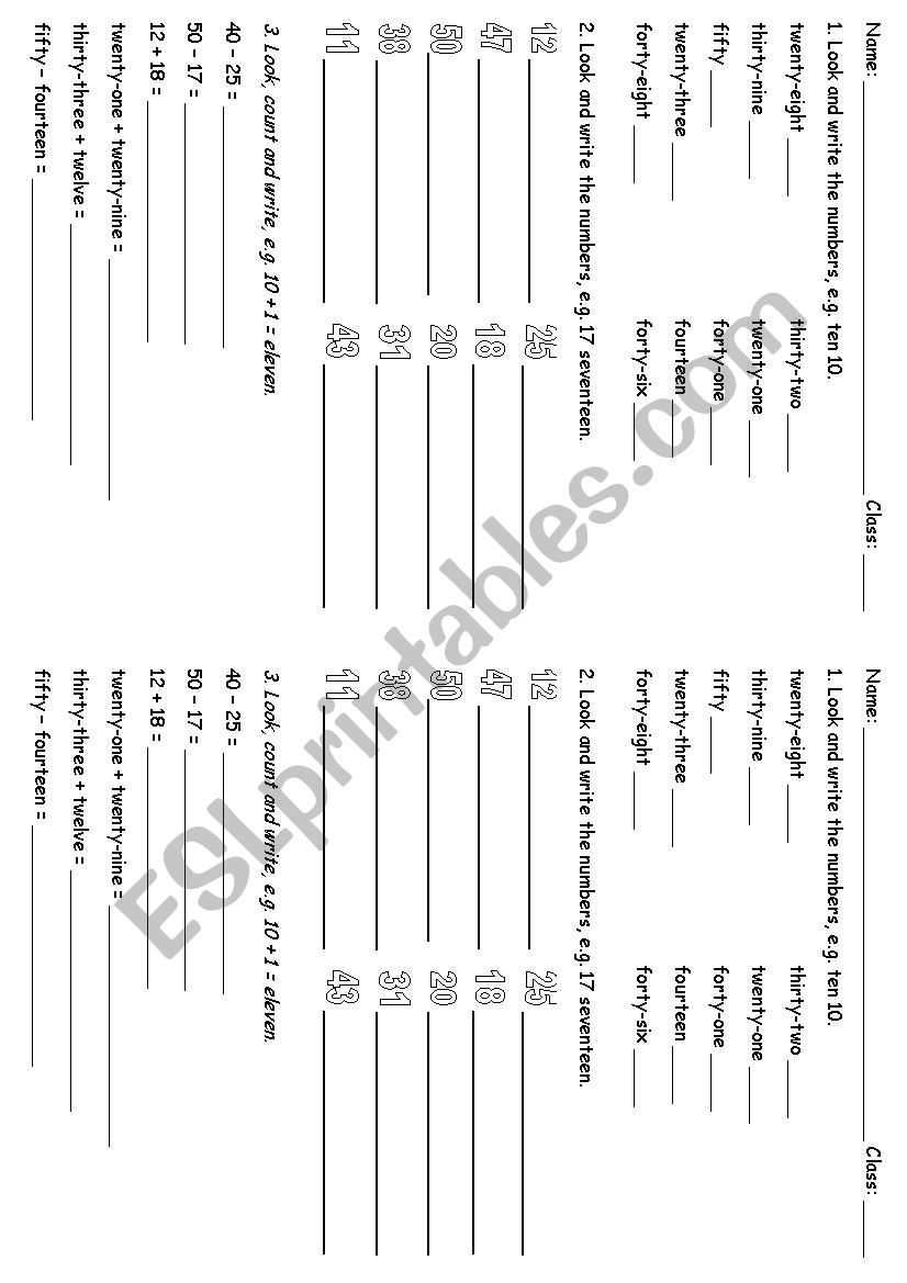 Numbers 10-50 worksheet