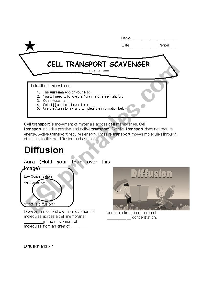 Cell Transport - ESL worksheet by traci.holland With Regard To Passive And Active Transport Worksheet