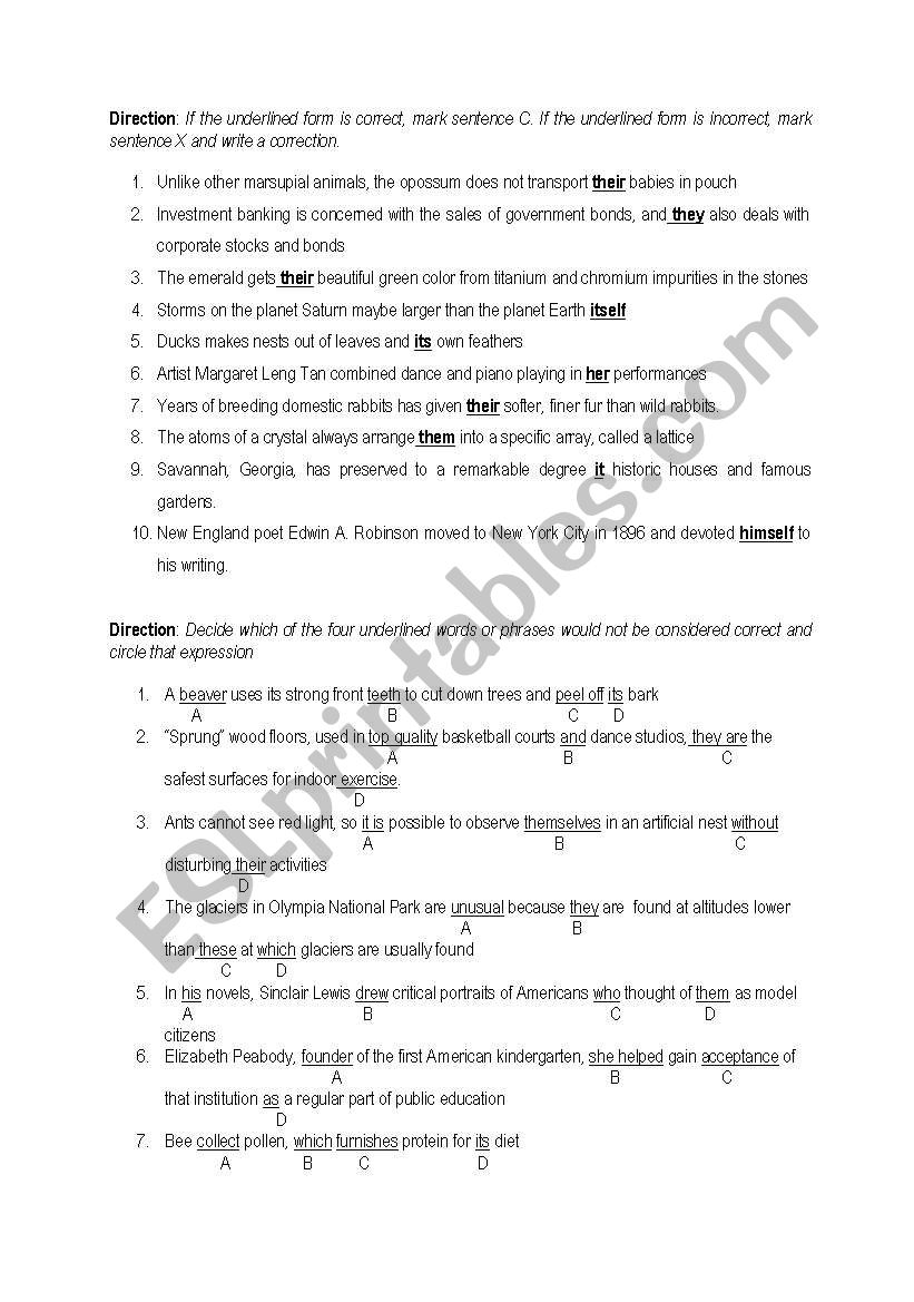 Pronoun worksheet