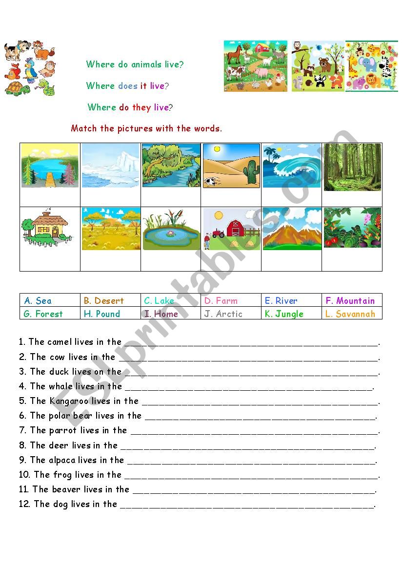 Where do animals live? worksheet