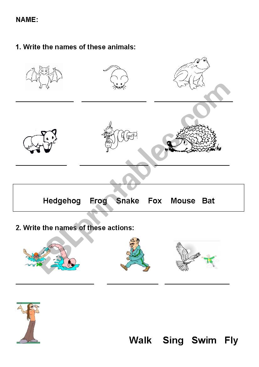 Garden animals worksheet