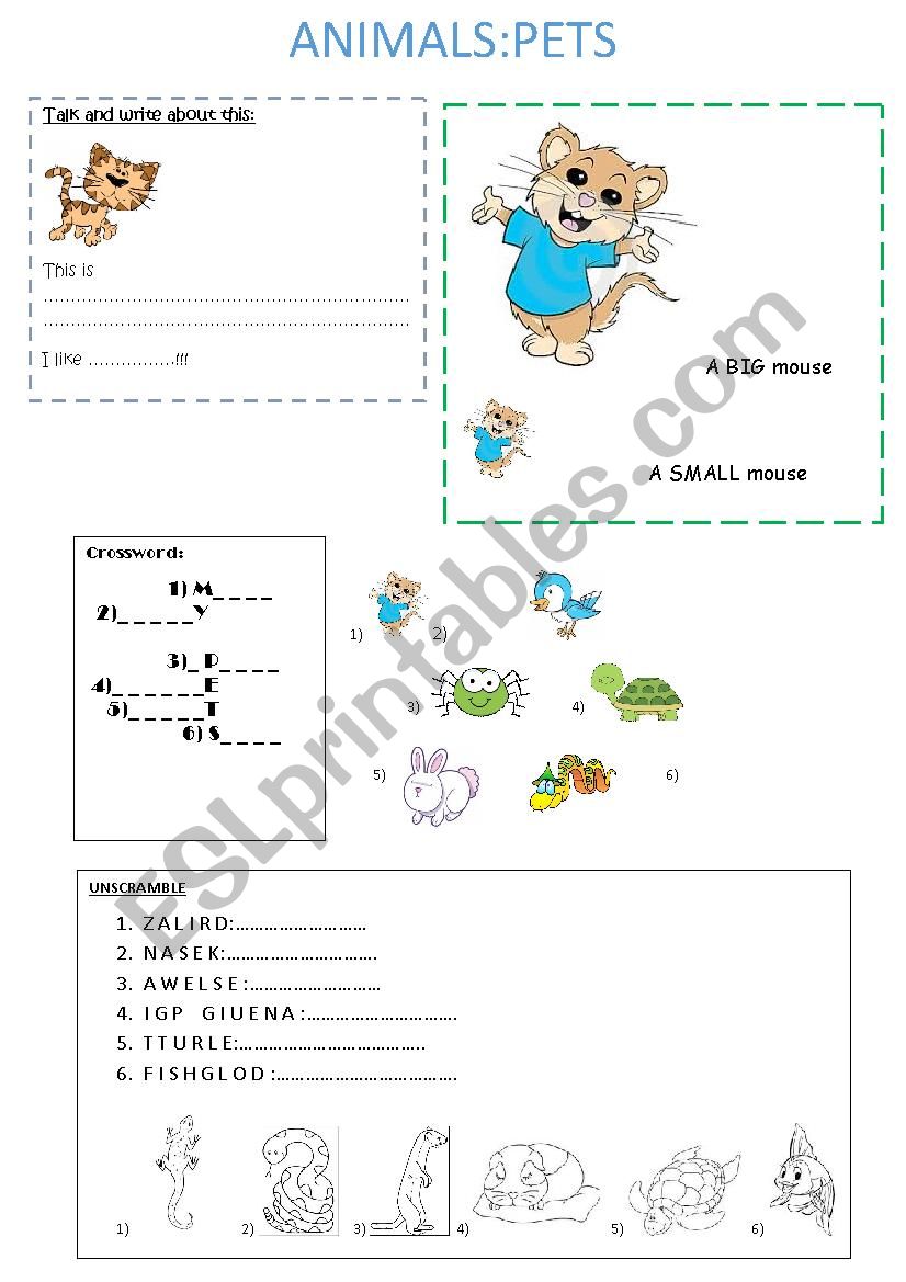 pets worksheet