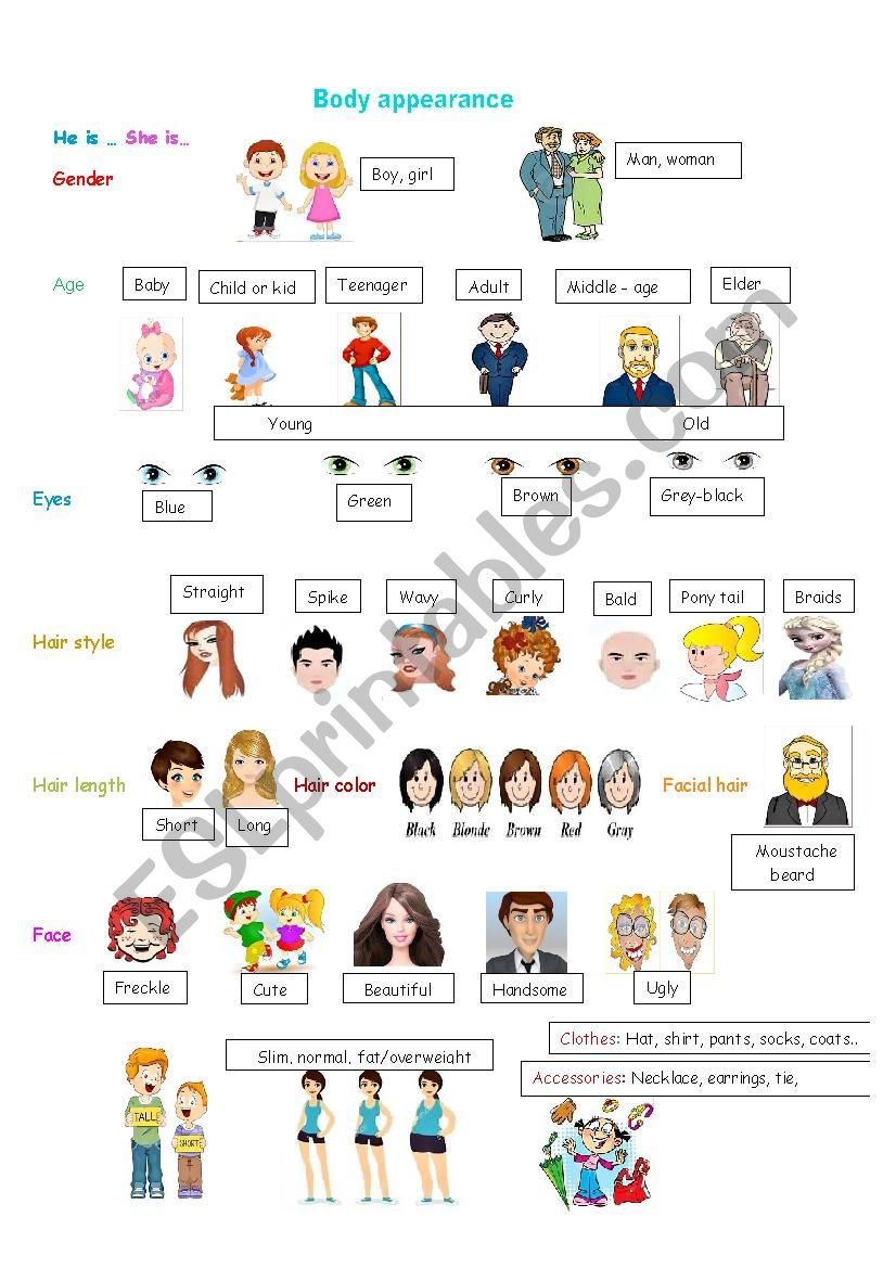 Body appearance worksheet