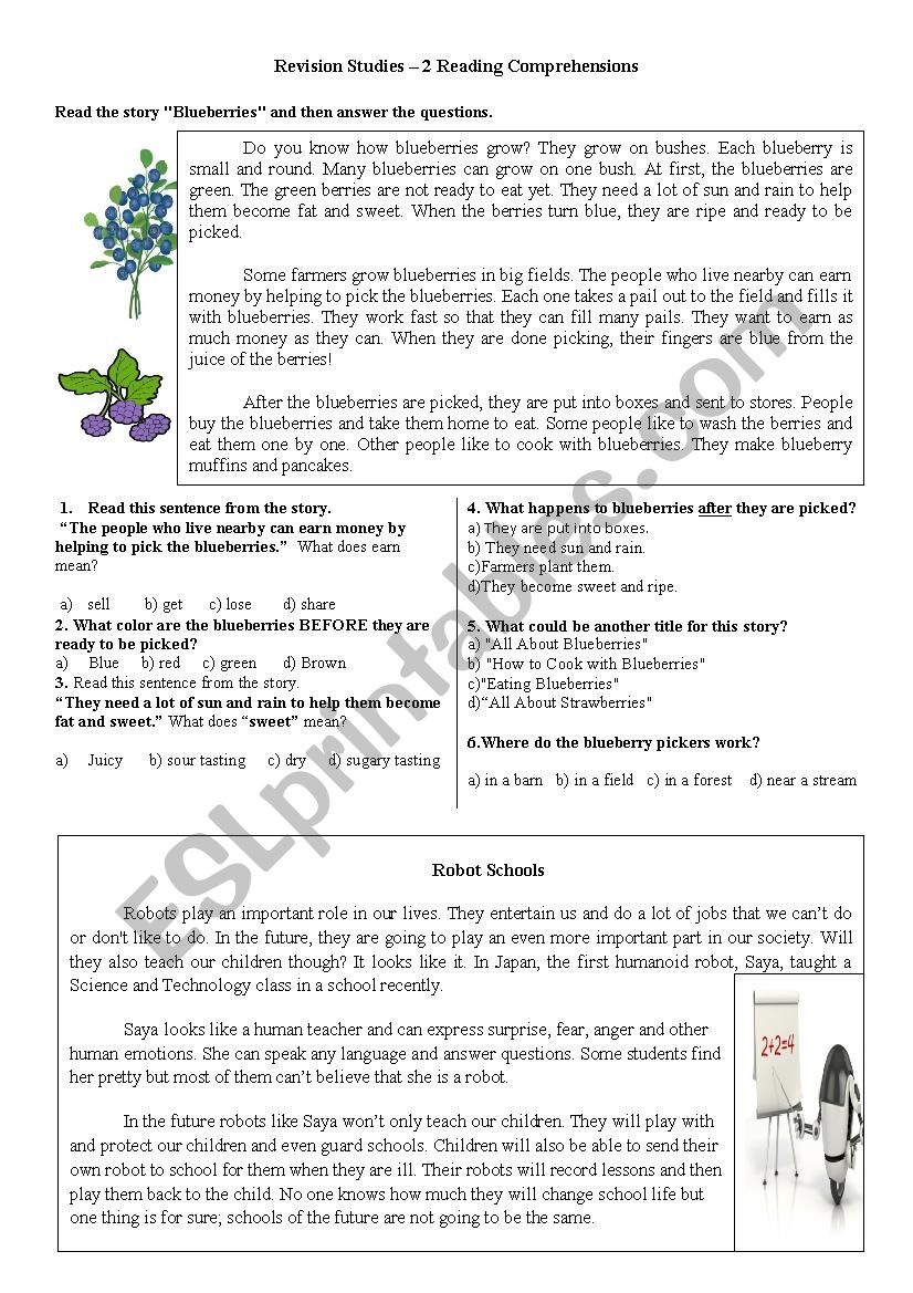 Revision Studies 2 - Reading Comprehensions