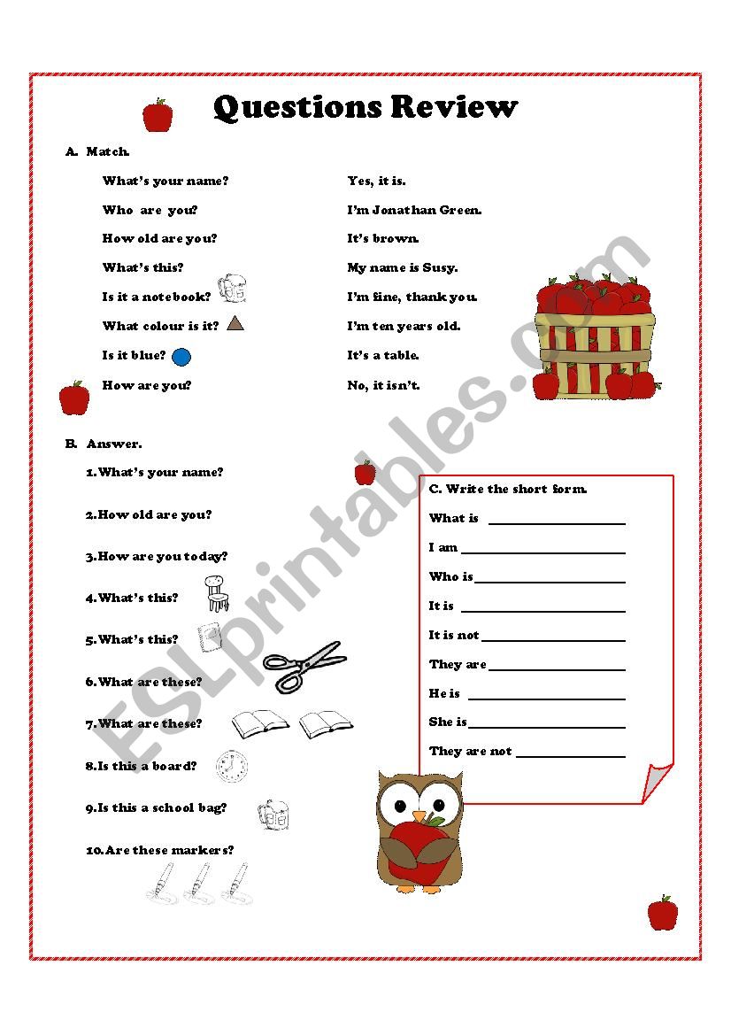 Elementary questions review worksheet