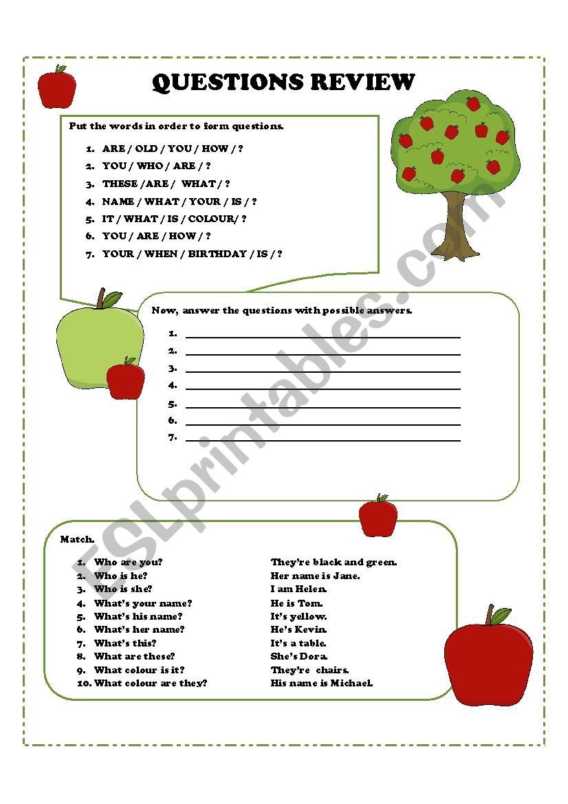 Elementary questions review 3 worksheet