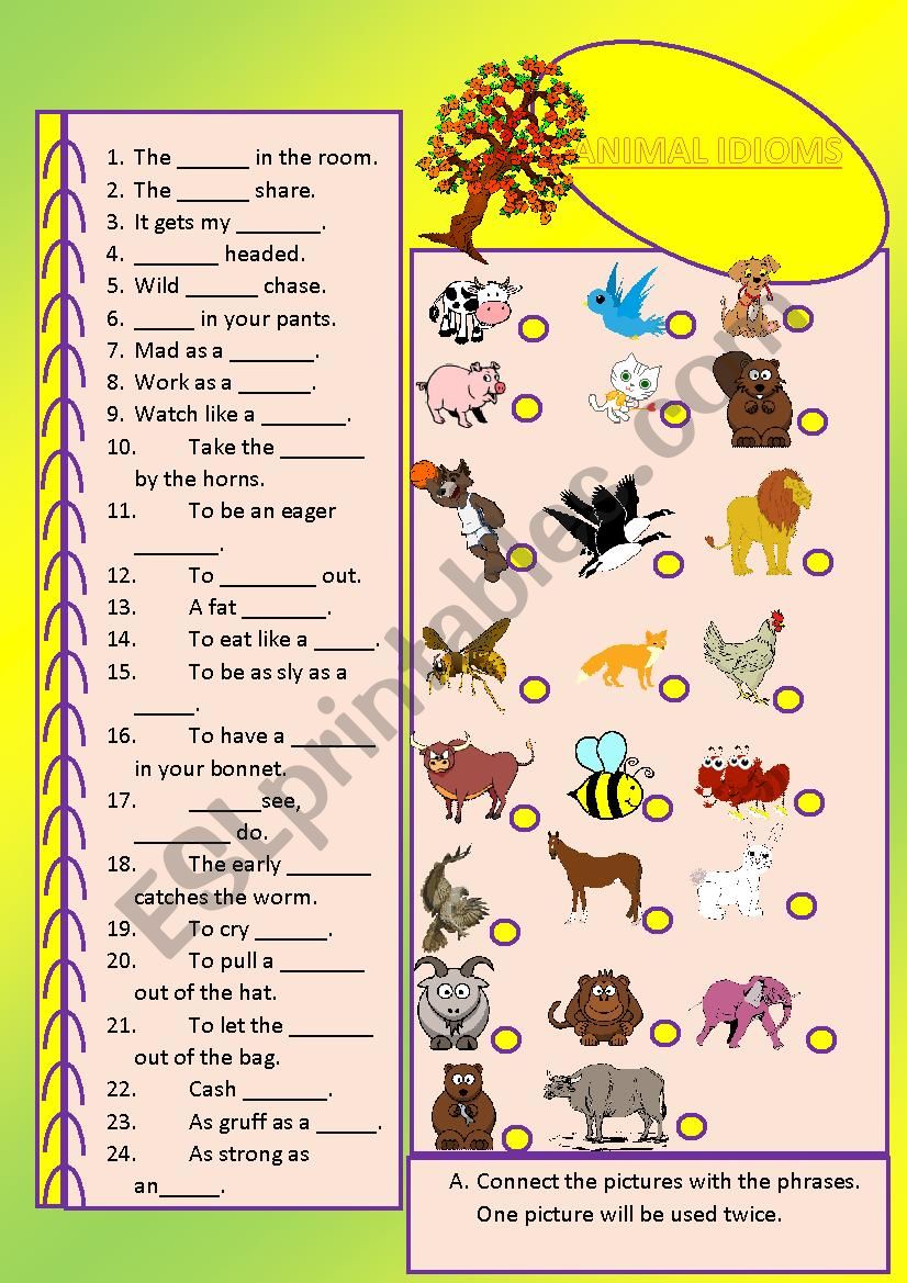 animal idioms worksheet