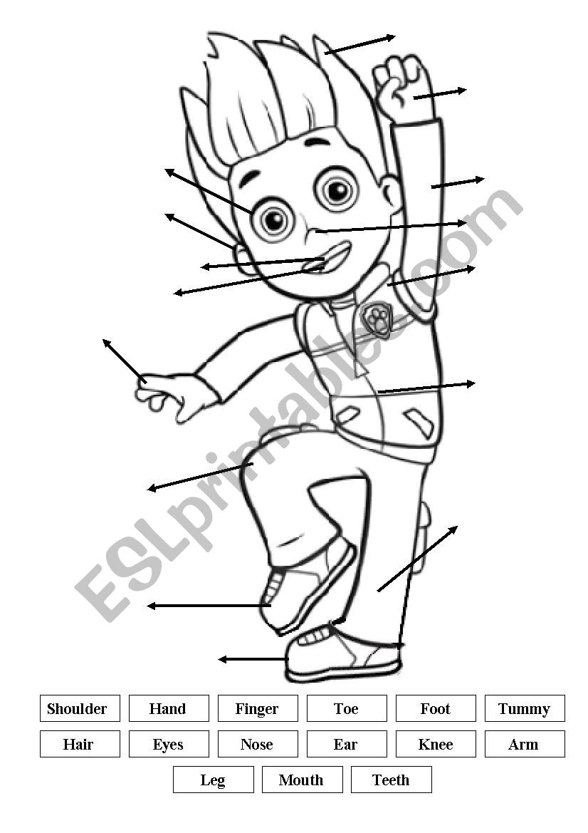 Paw Patrol Body parts worksheet