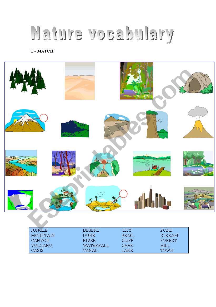 nature  worksheet