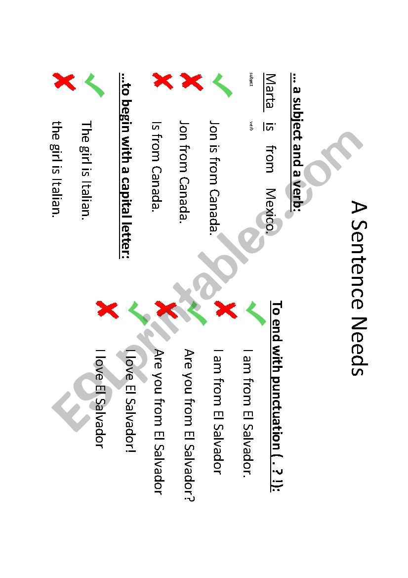 Basic Sentence Rules worksheet
