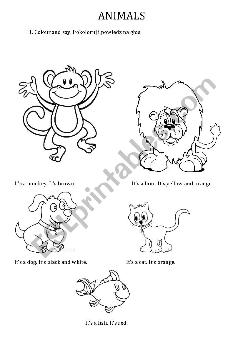 ANIMALS worksheet