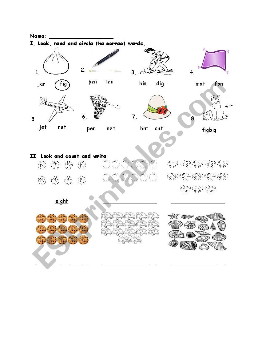 numbers and new words worksheet