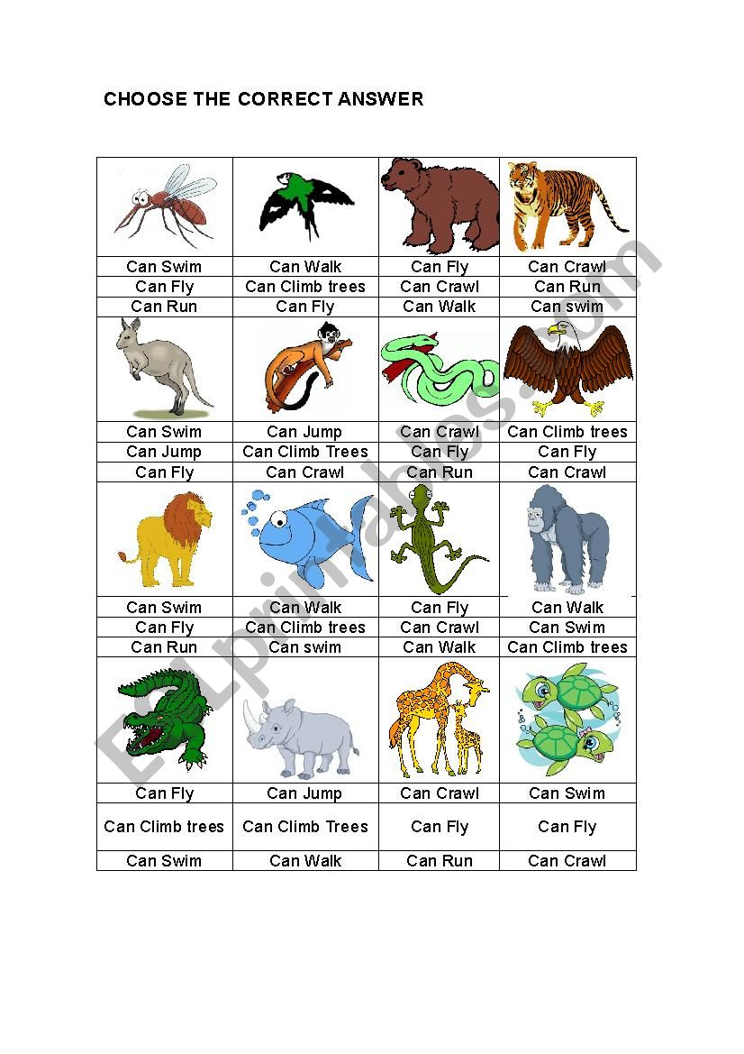 ANIMALS CAN worksheet