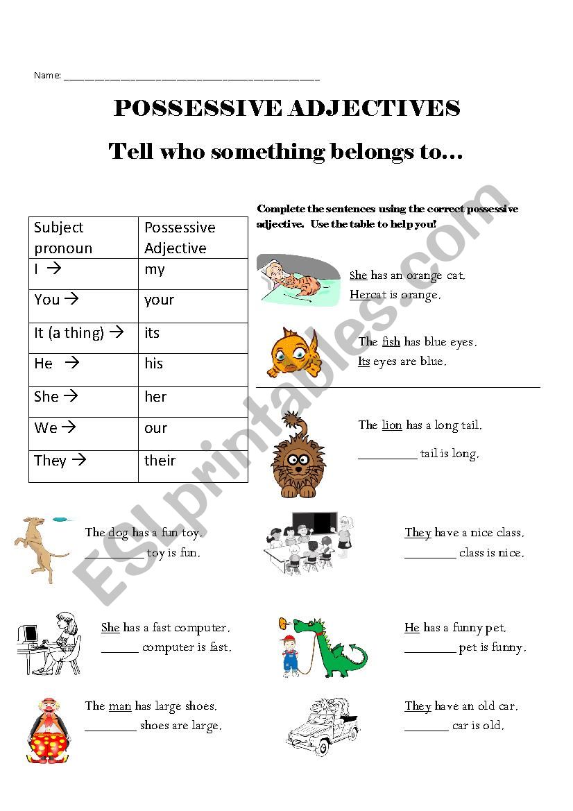 Possessive adjectives--easy and with pictures!