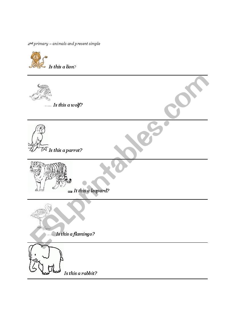 animals present simple worksheet