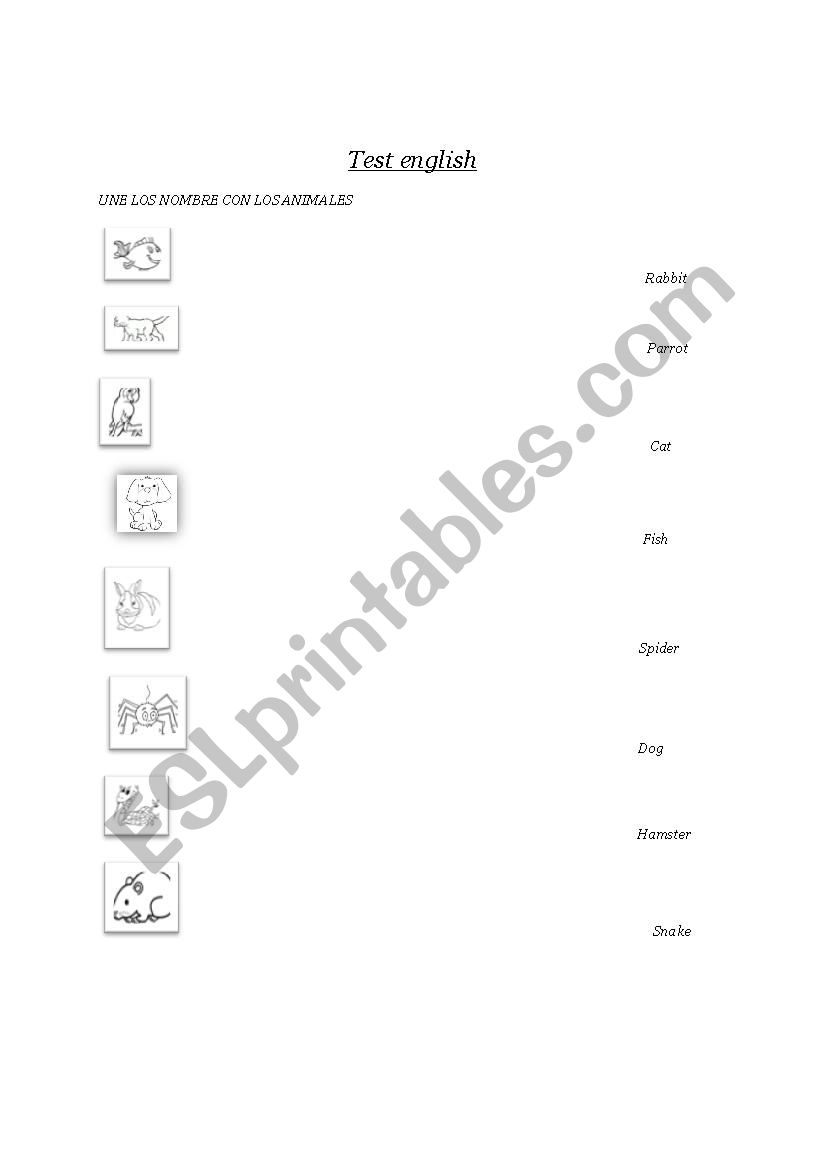 colours worksheet