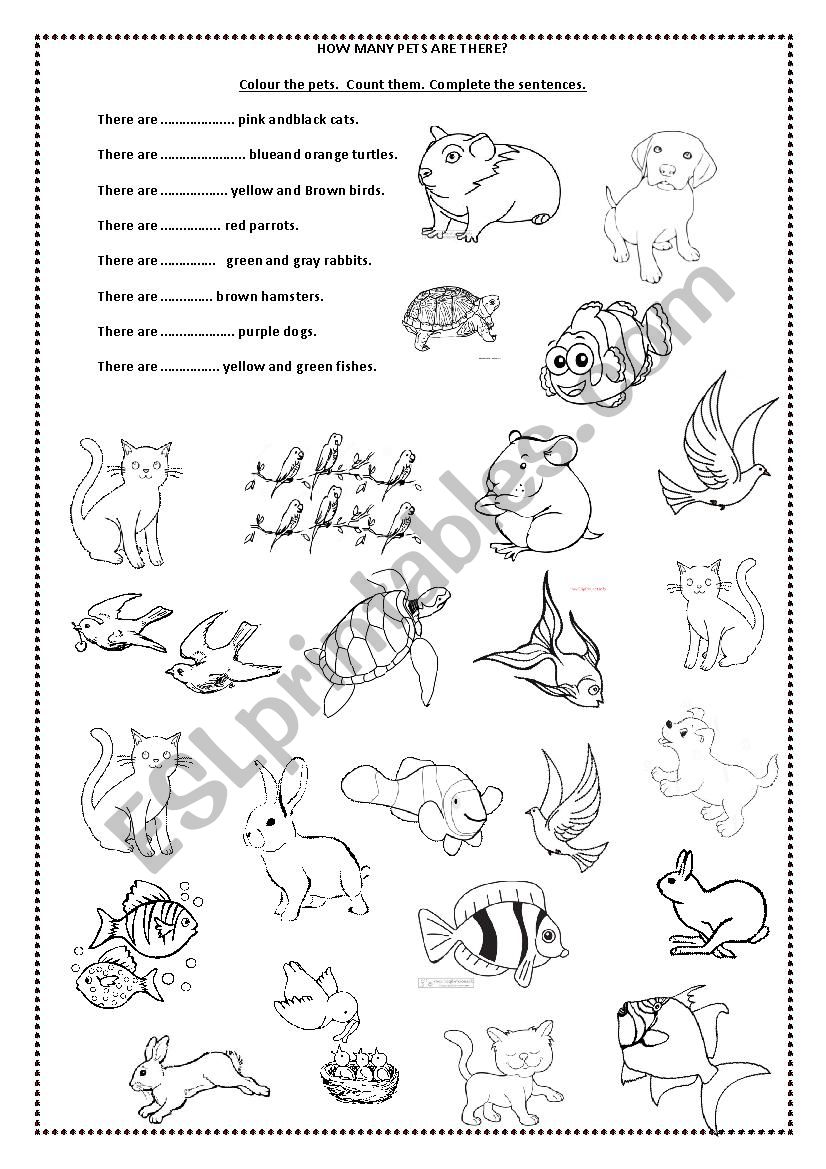 how many pets are there? worksheet