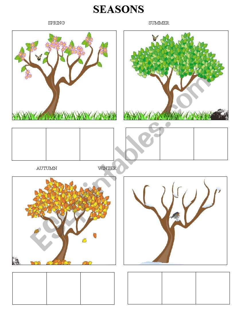 Seasons worksheet