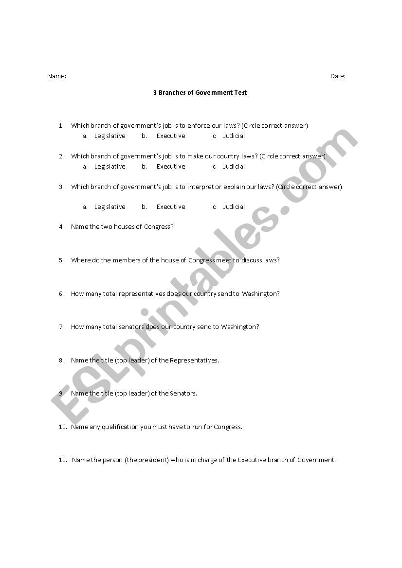 US Government worksheet
