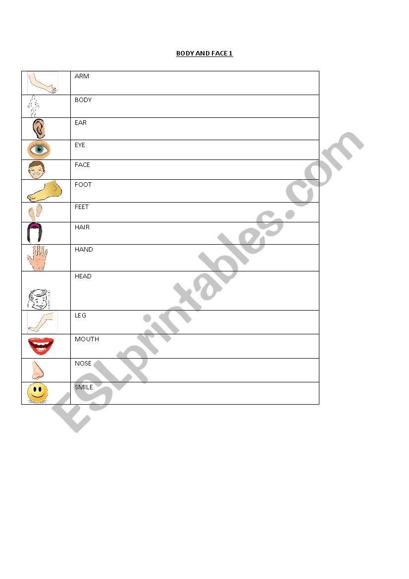 Body and Face 1 worksheet