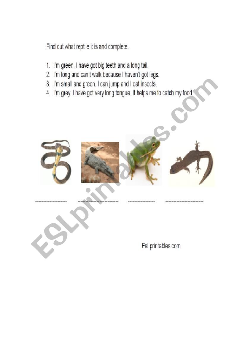 Animals worksheet