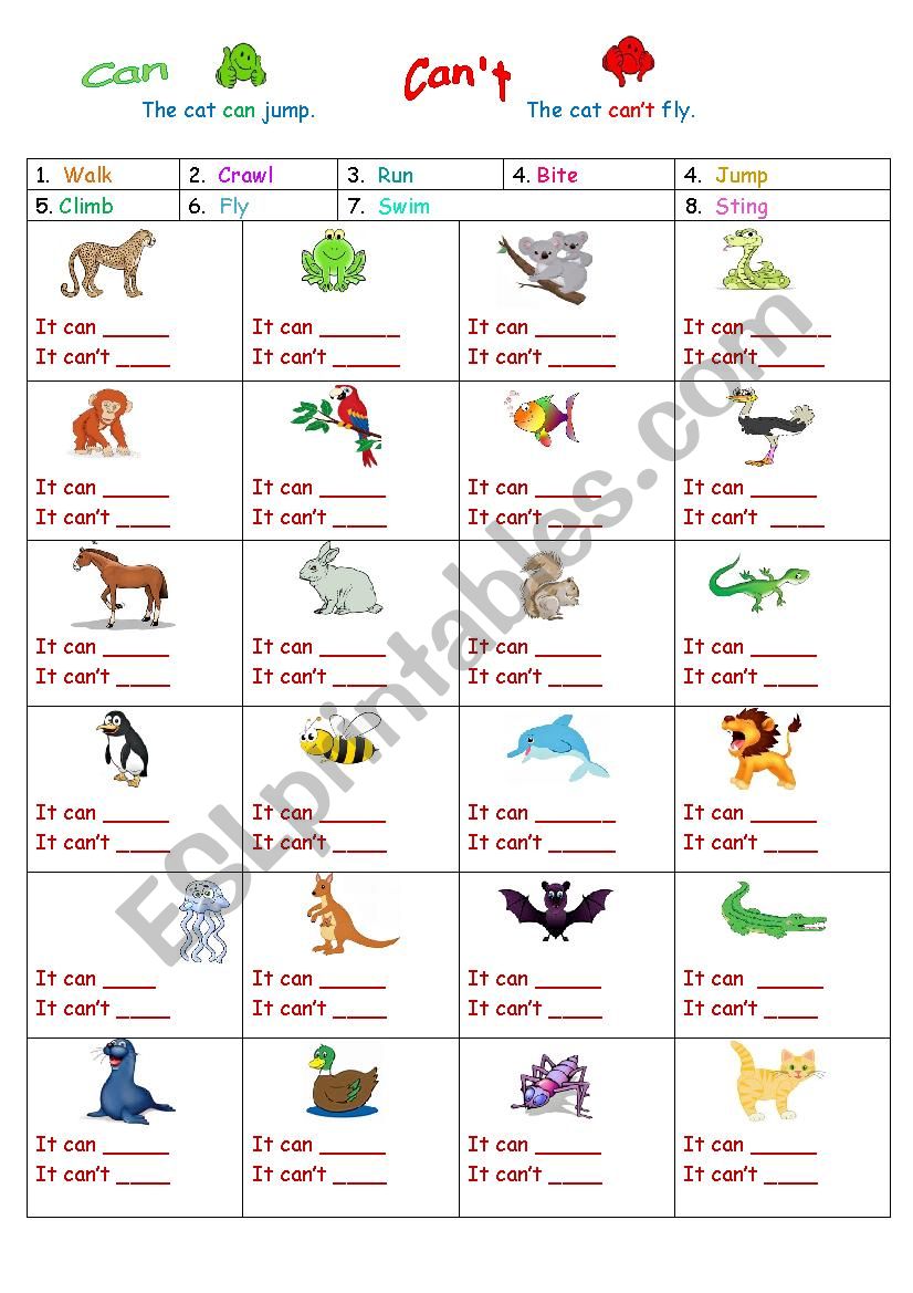 The animal can or cant .... worksheet