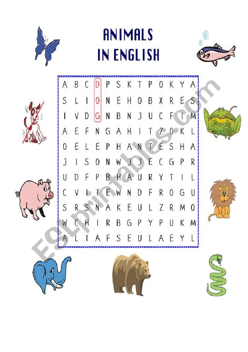 Animals worksheet