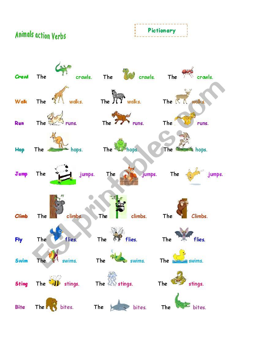 Animals action verbs worksheet