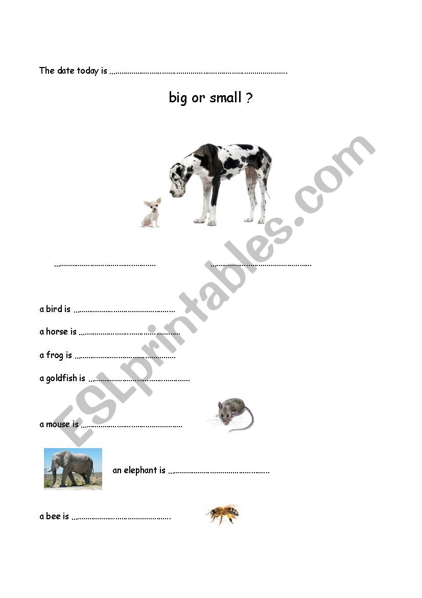 big / small worksheet