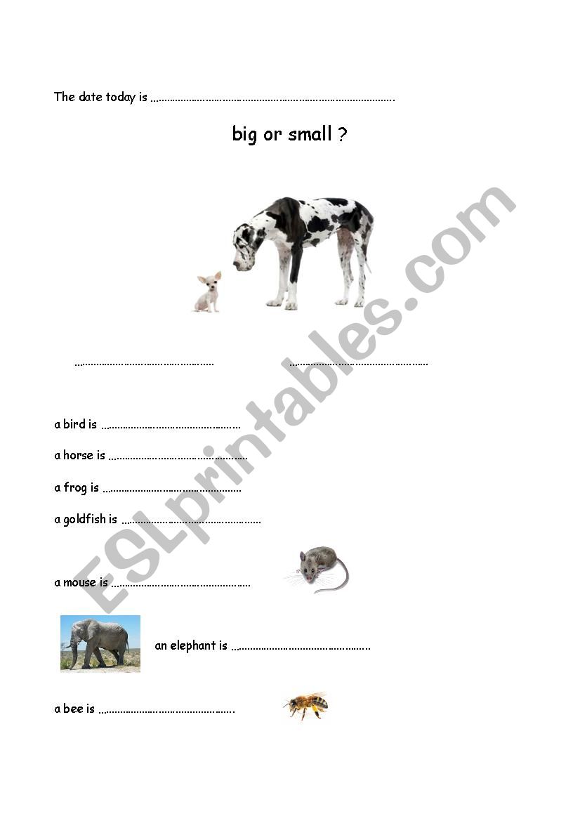 Big-small - ESL worksheet by chinchulina