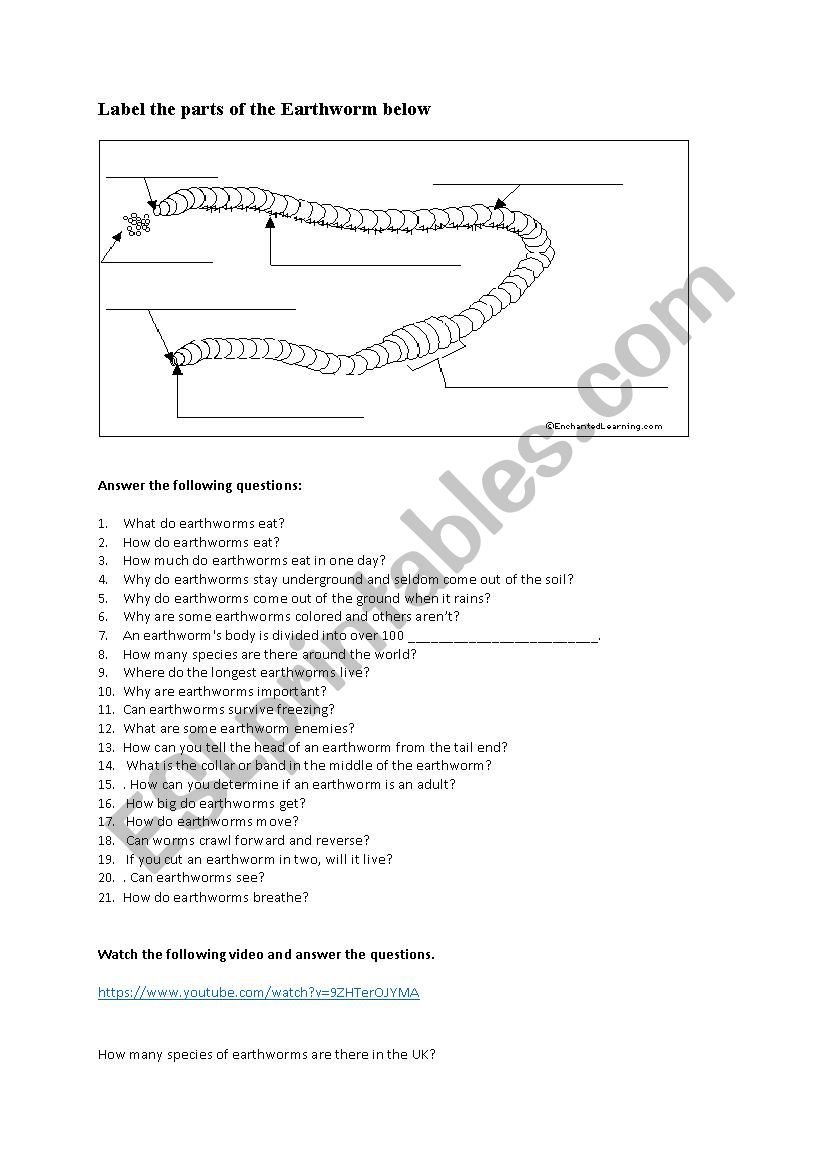 Earthworms worksheet