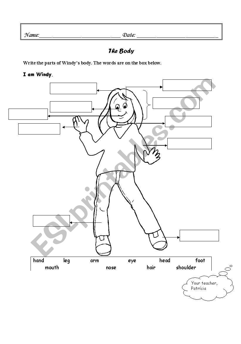 Windys body worksheet