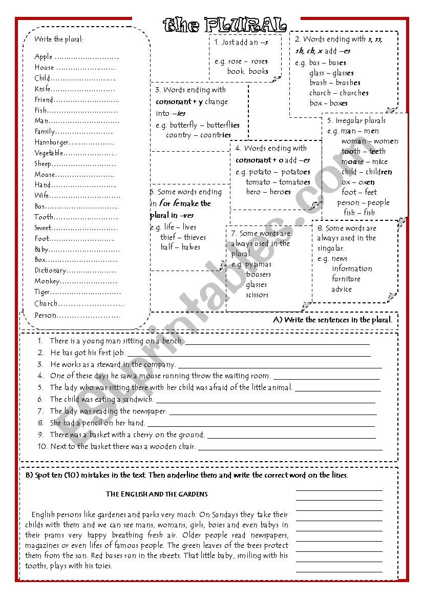 plurals worksheet