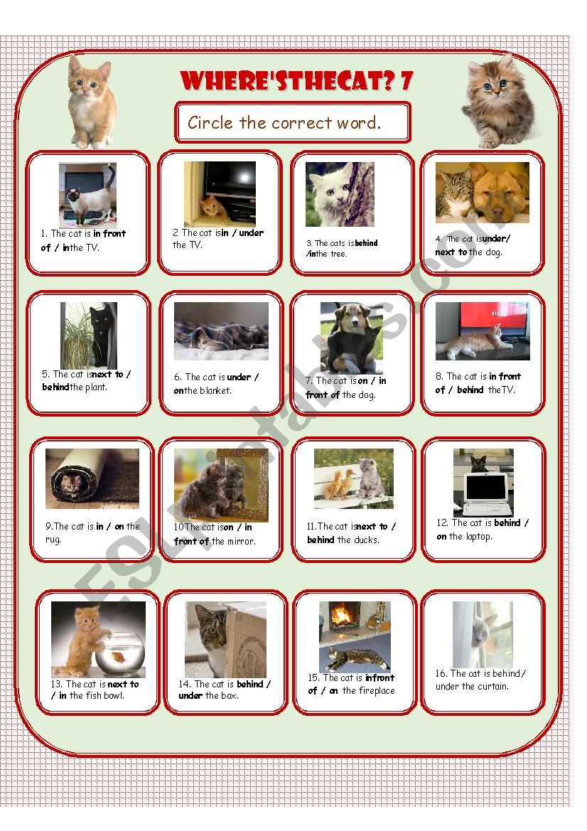 WhereÂ´s the Cat? 7 worksheet