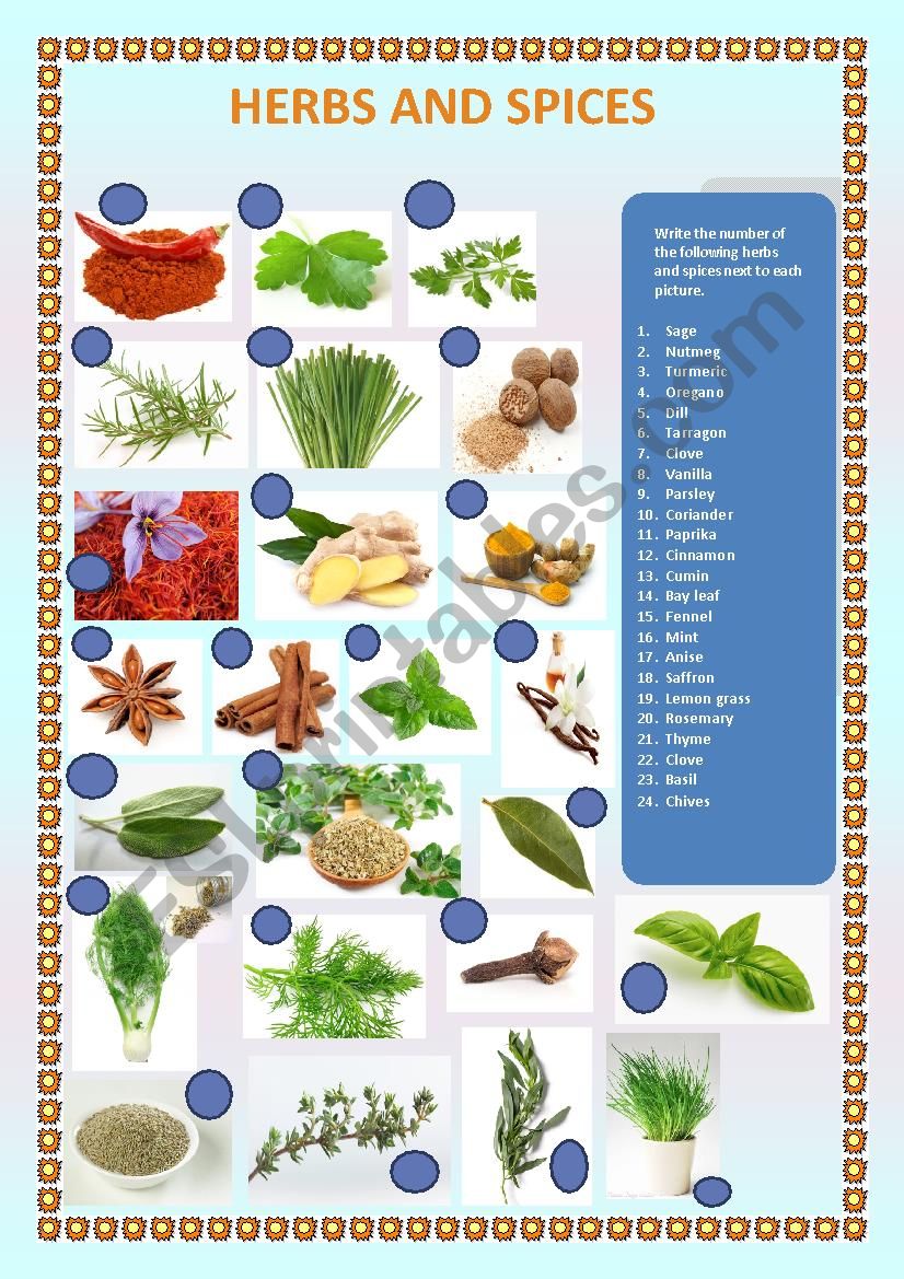 herbs and spices worksheet