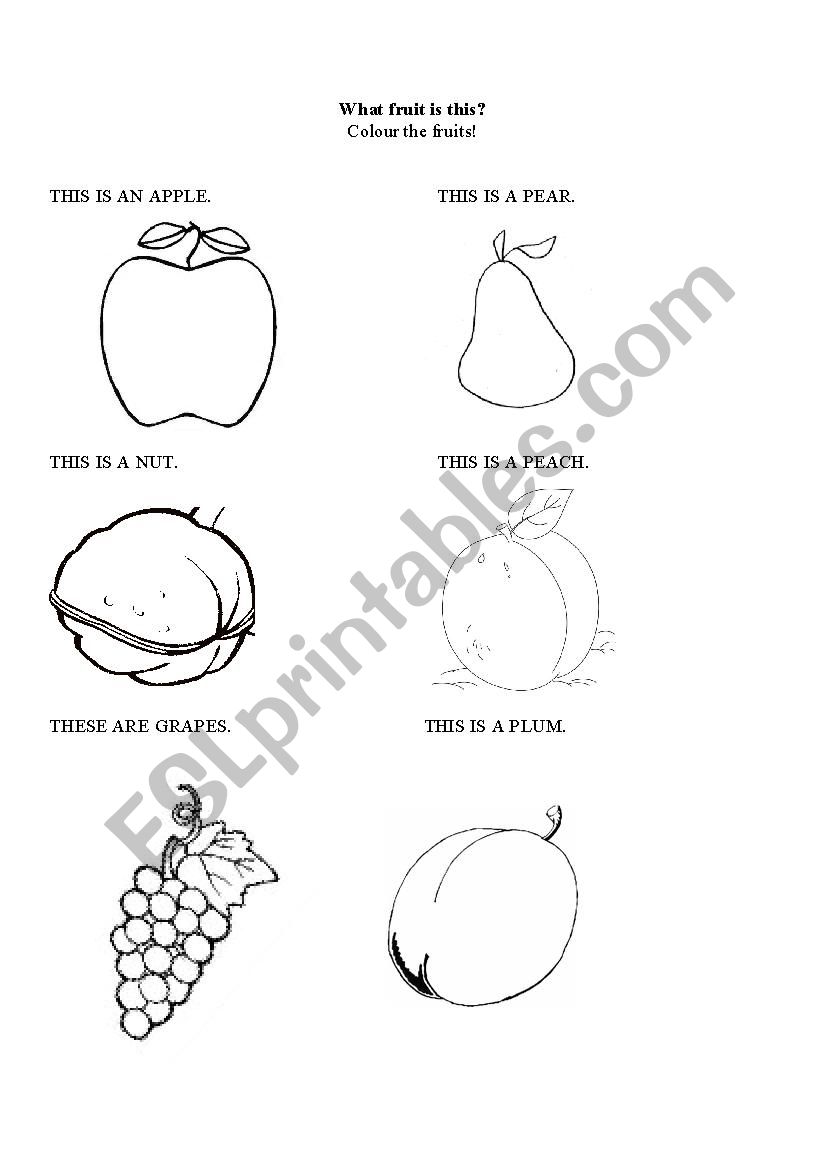 What fruit is this? worksheet