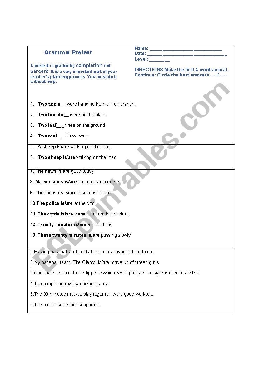 Level 3 Grammar Diagnostic Test