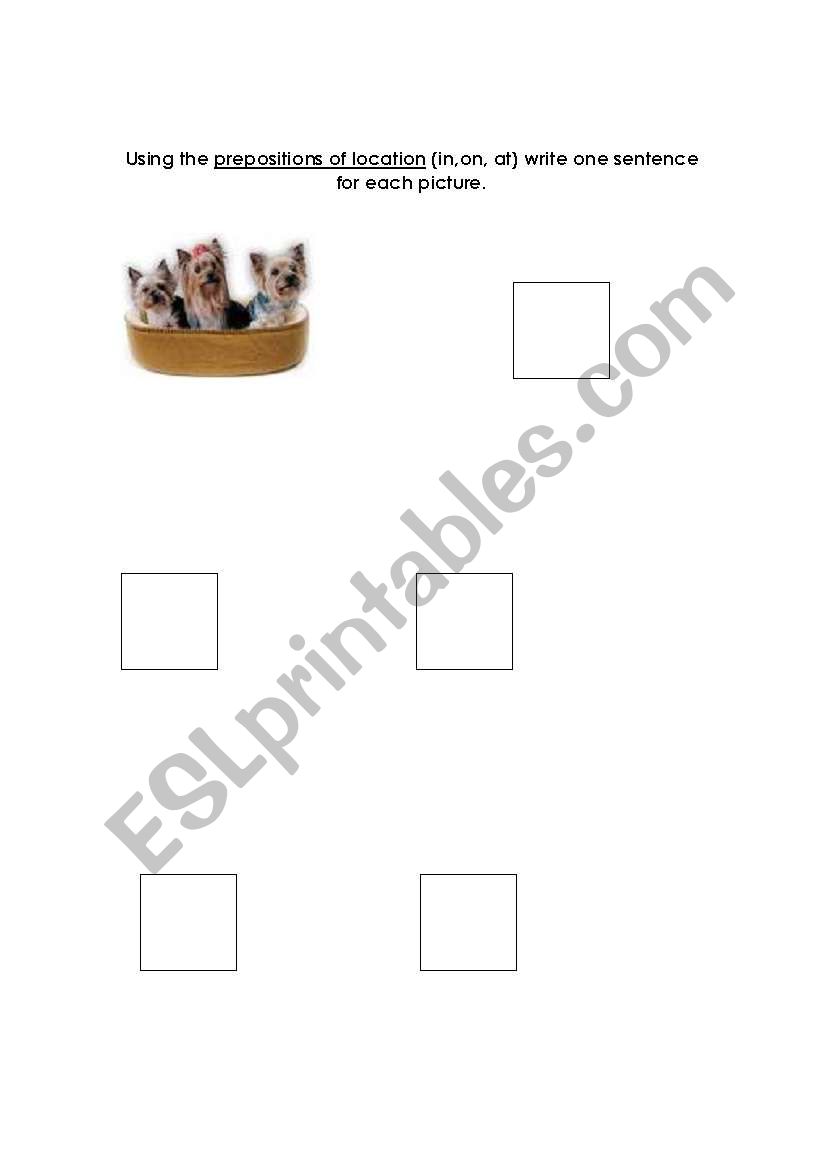 prepositions  worksheet