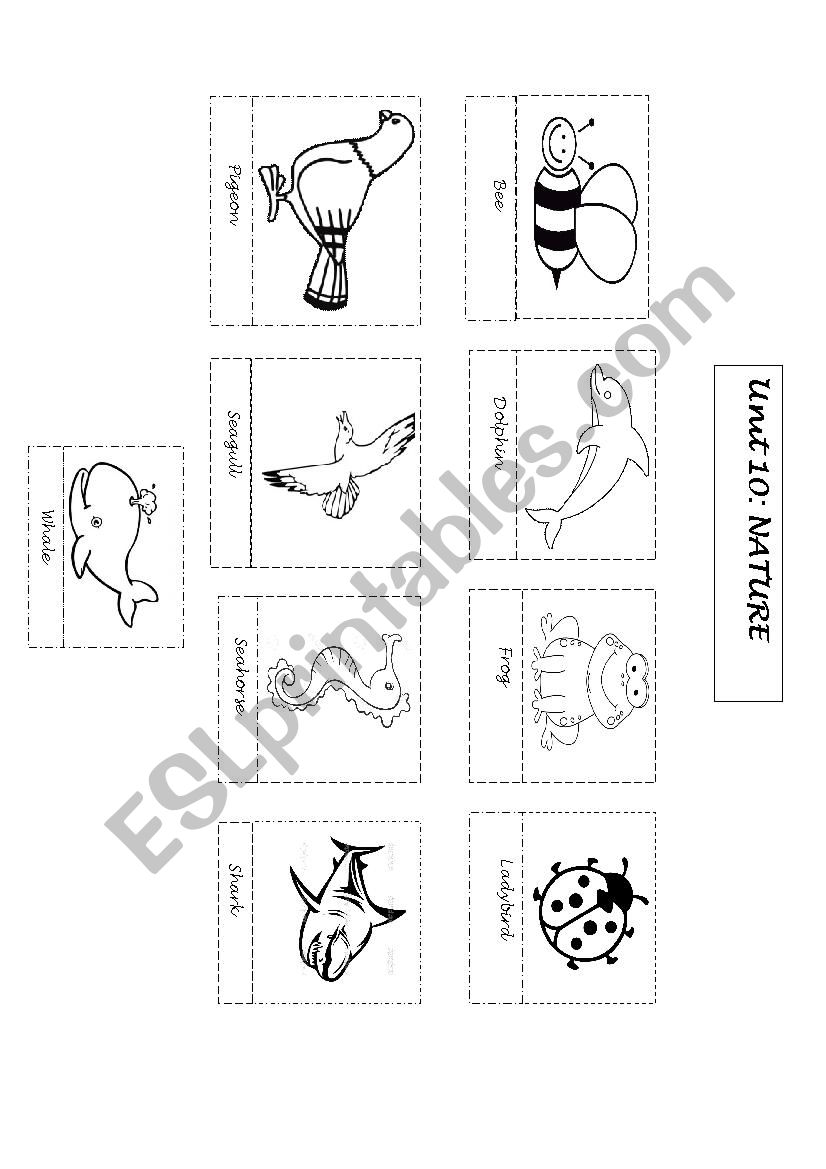 Nature with animals worksheet