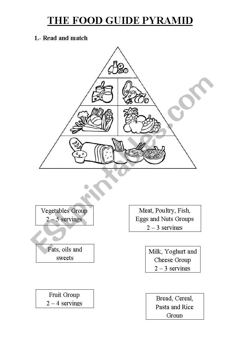 The Food Guide Pyramid worksheet