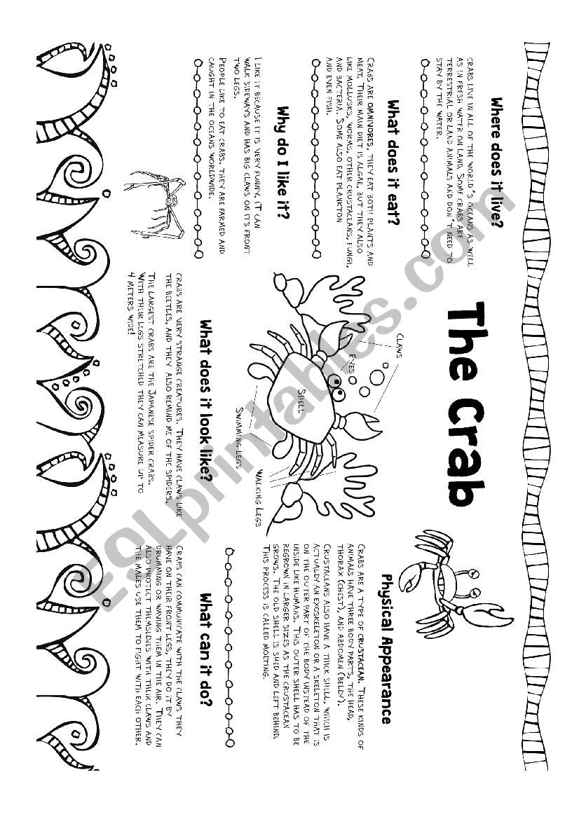 Crab Project worksheet