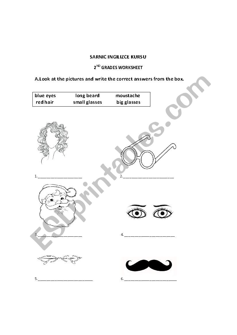 family and physical apperance worksheet