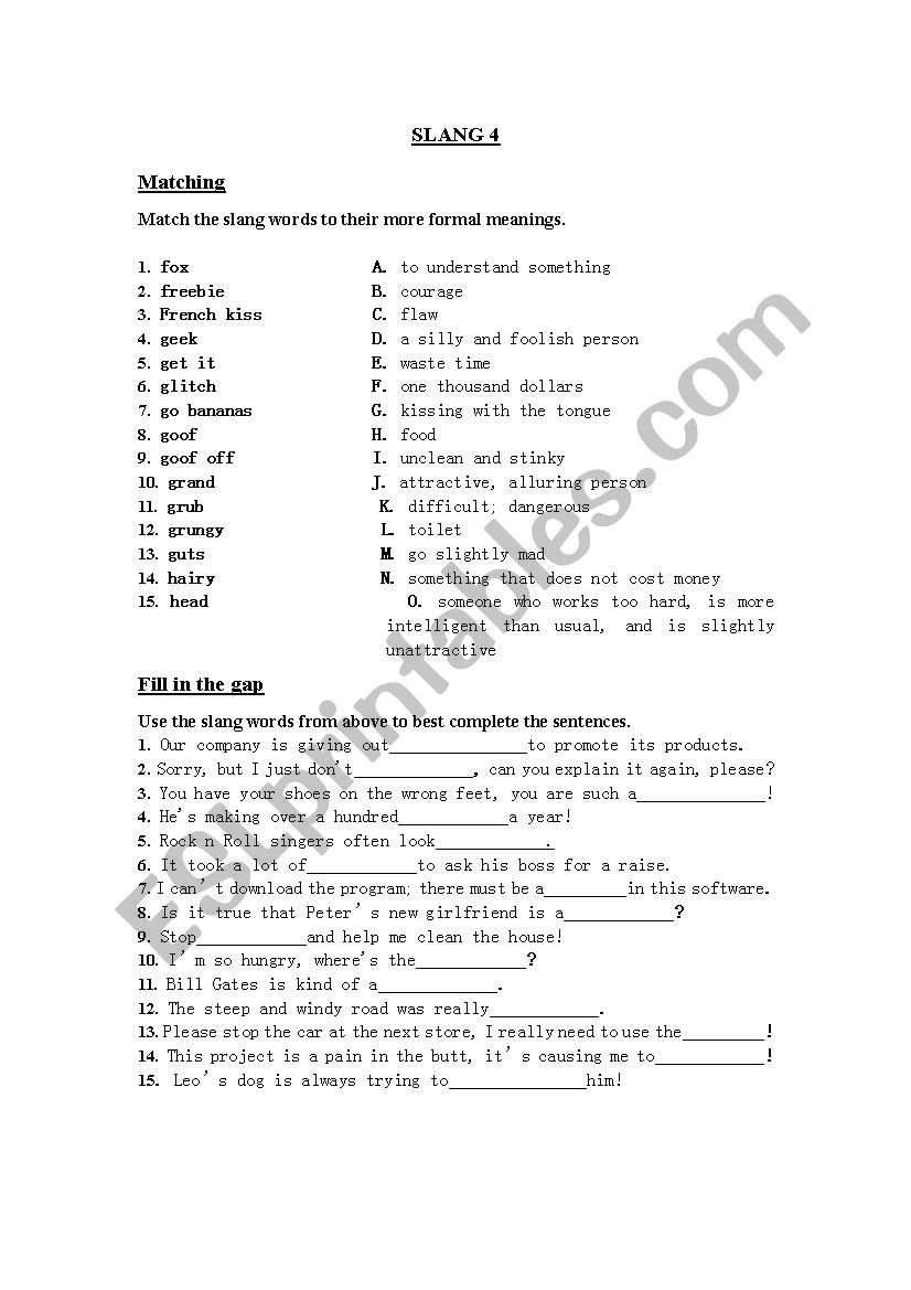 Slang Words (4/10) worksheet