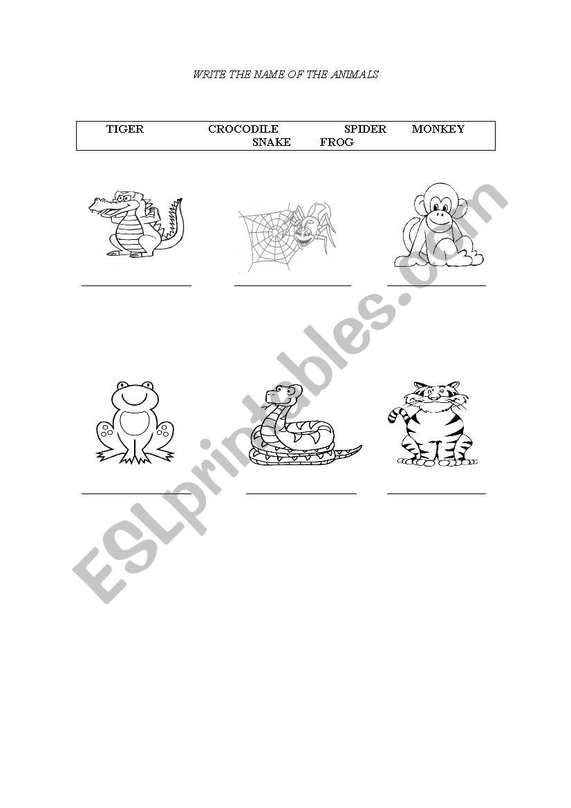 JUNGLE ANIMALS worksheet