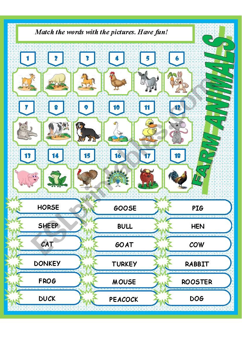 Farm animals worksheet