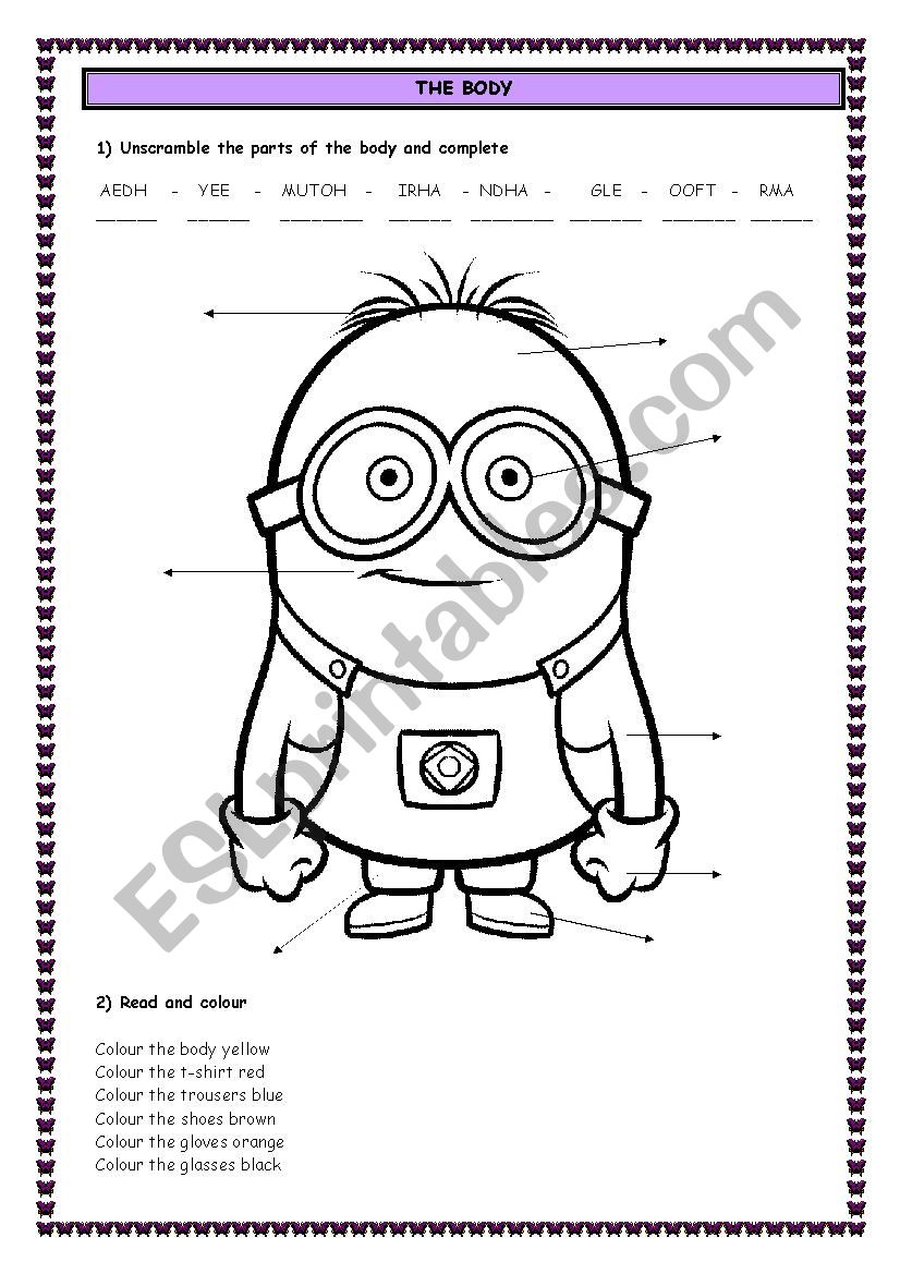 THE BODY, CLOTHES AND COLOURS worksheet